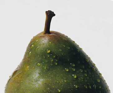 VEGETARIAN